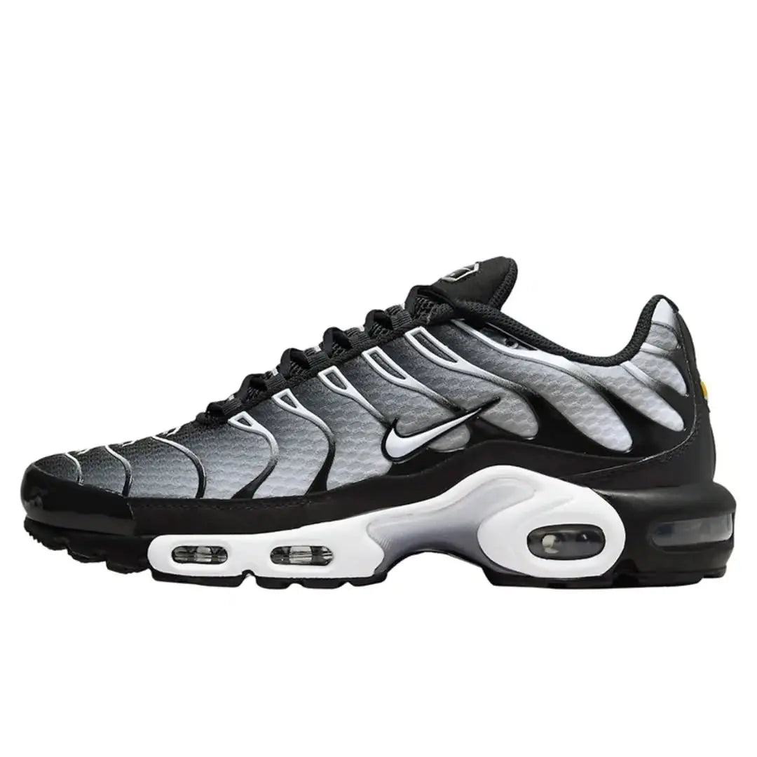 Nike TN (Metallic Silver)
