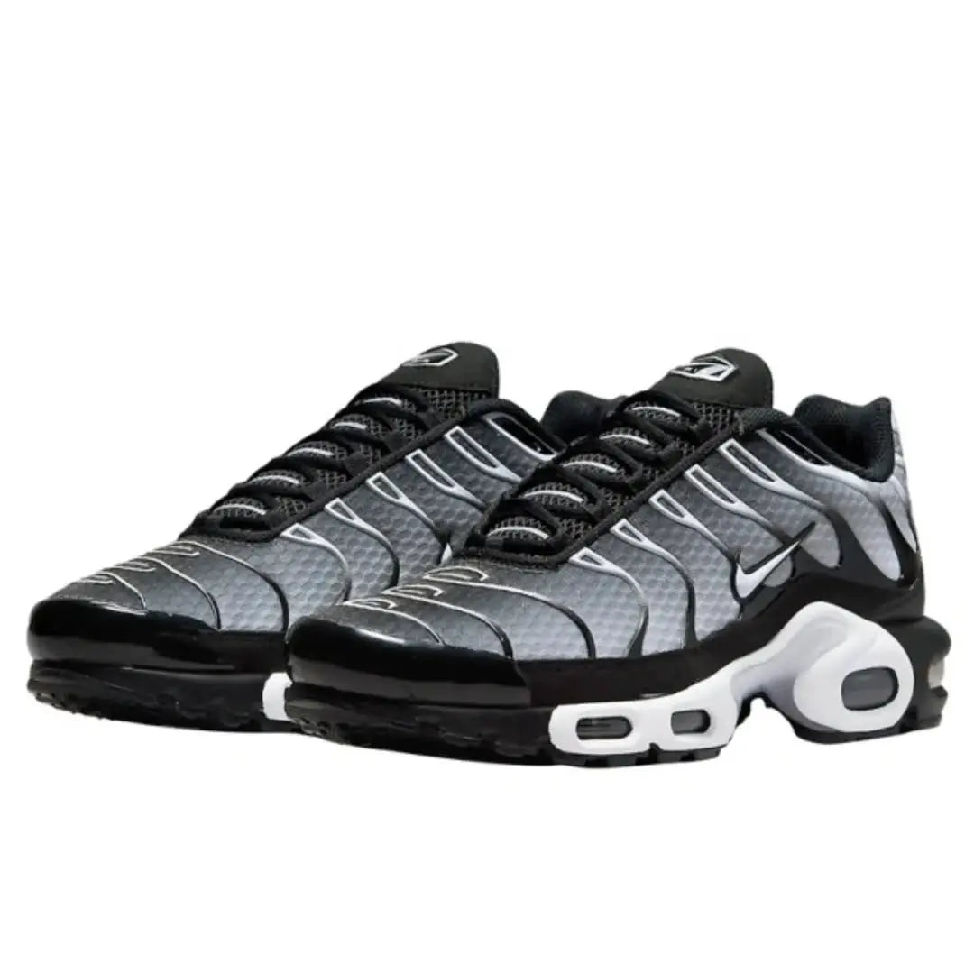 Nike TN (Metallic Silver)