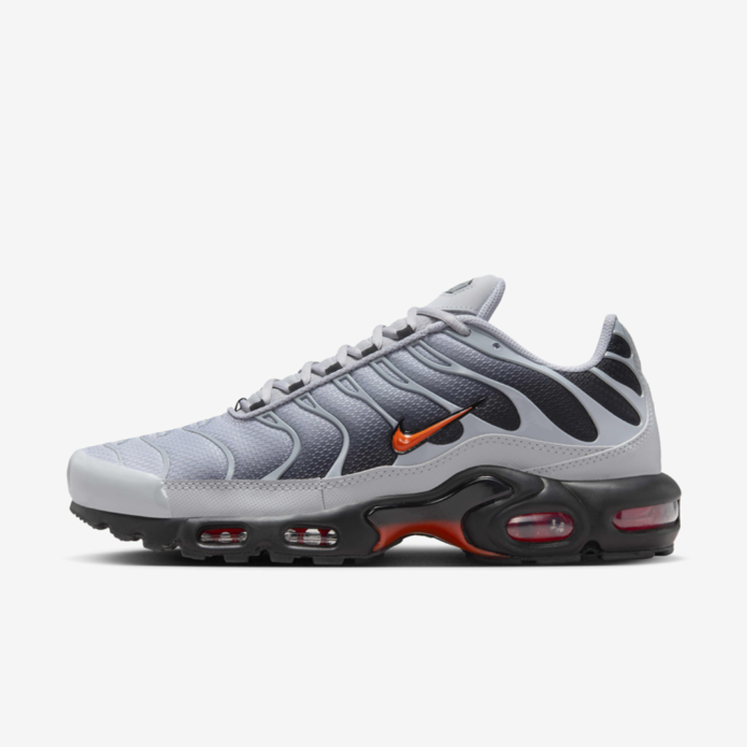Nike Air Max TN  (Wolf Grey)