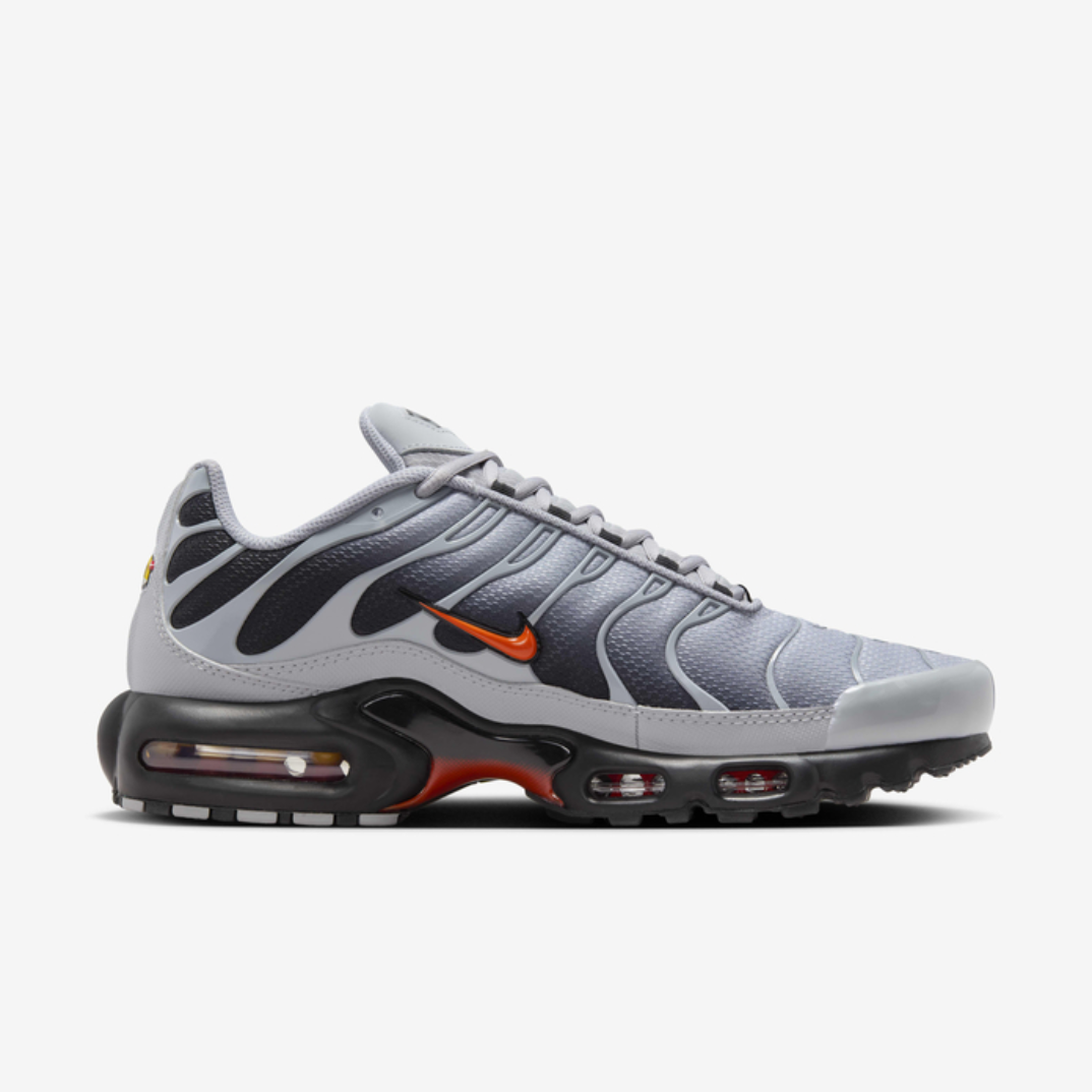 Nike Air Max TN  (Wolf Grey)