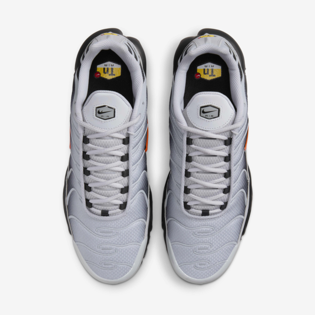 Nike Air Max TN  (Wolf Grey)