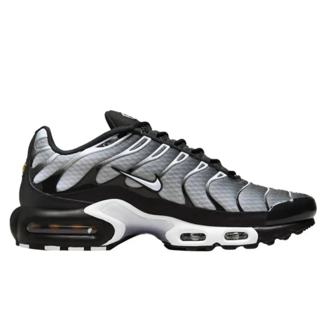 Nike TN (Metallic Silver)