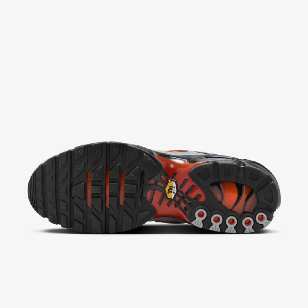 Nike Air Max TN  (Wolf Grey)