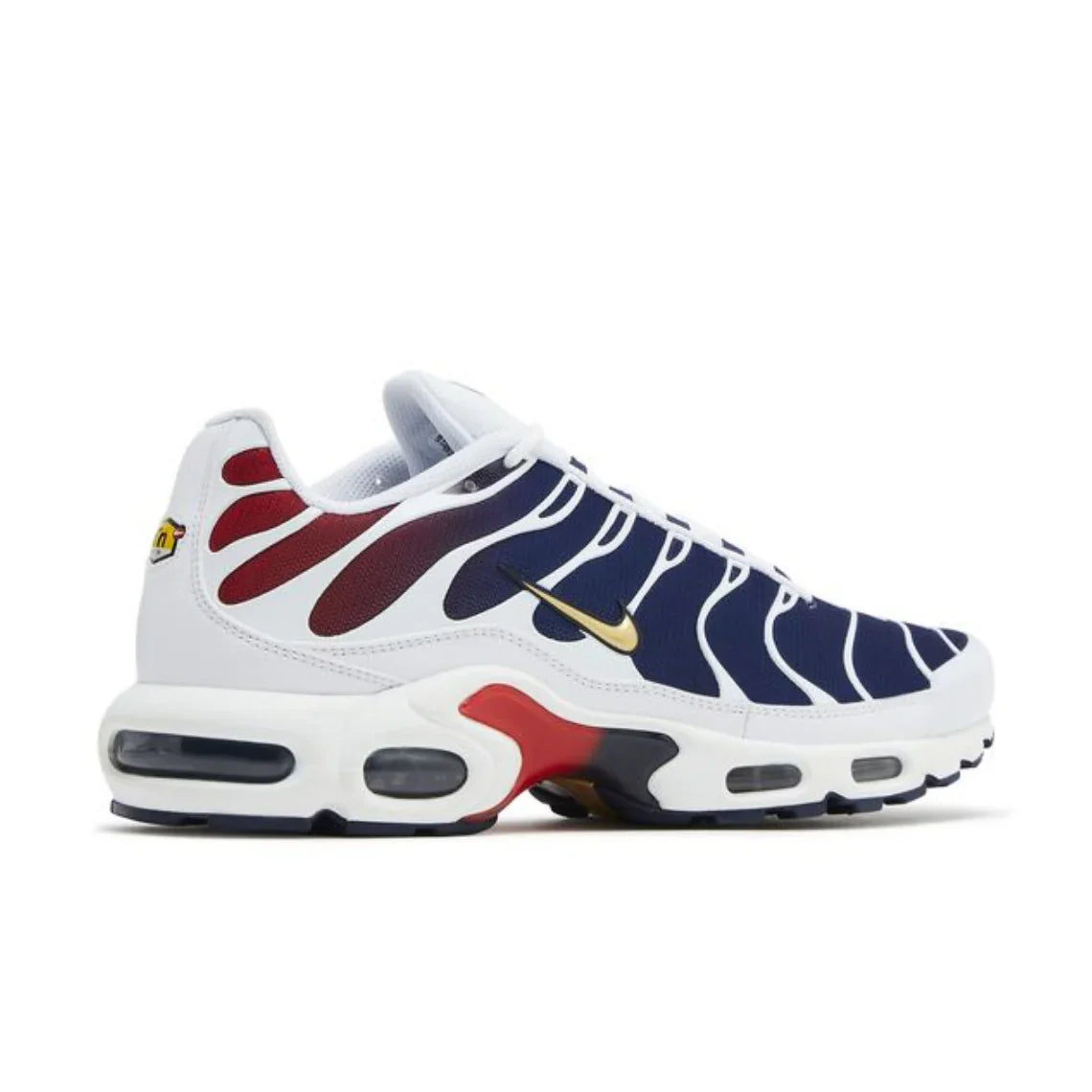 Nike Air Max Plus (PSG)