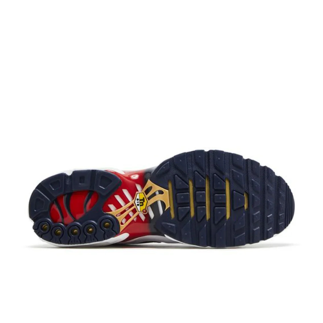 Nike Air Max Plus (PSG)