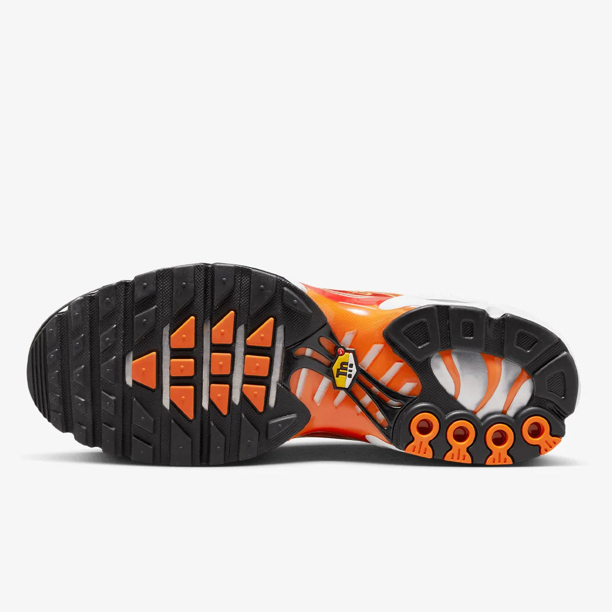 Nike Air Max TN (Light Photography)