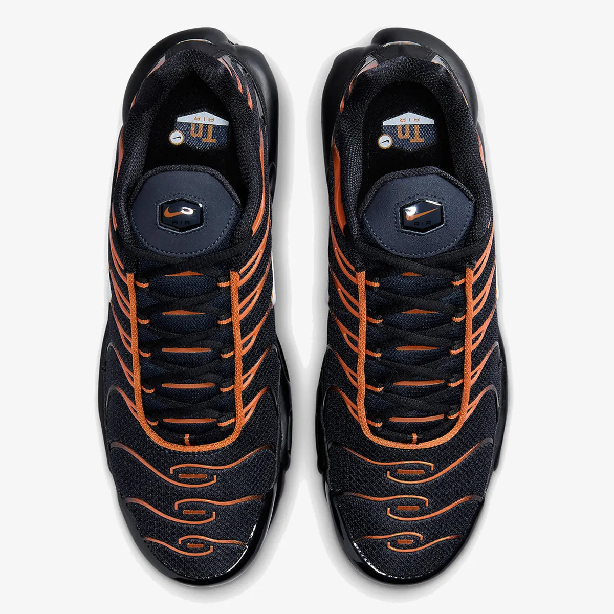 Nike Air Max TN (Dark Obsidian Monarch)