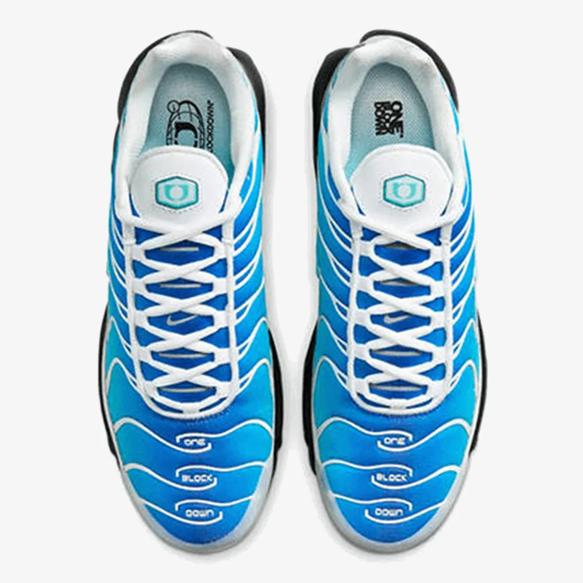 Nike Air Max TN x One Block Down