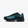 Nike Air Max TN (Black-Dusty)